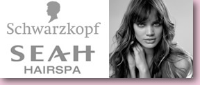 ��������� SEAH HAIRSPA �� Schwarzkopf Professional